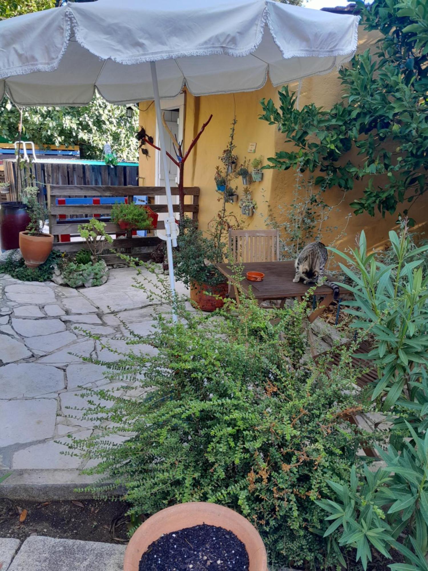 Refugio Das Artes Guesthouse Porto de Mós Zewnętrze zdjęcie